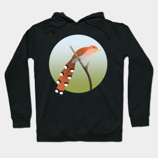 Squirrel cuckoo Hoodie